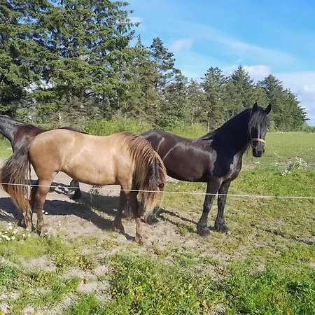 Apartamento Bettevejs Ferie Og Frihed Bindslev